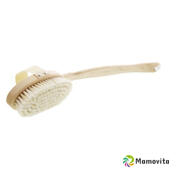 Bz bath brush beech wood oval bristle mix buy online