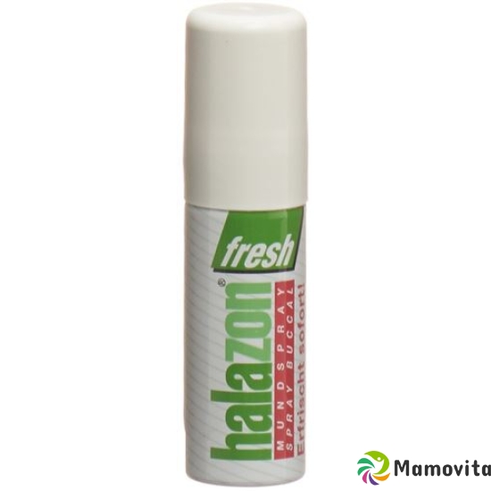 Halazon Fresh Mundspray ohne Treibgas (neu) 15ml buy online