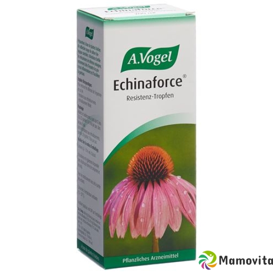 Vogel Echinaforce Resistenz-Erkältung Tropfen 200ml buy online