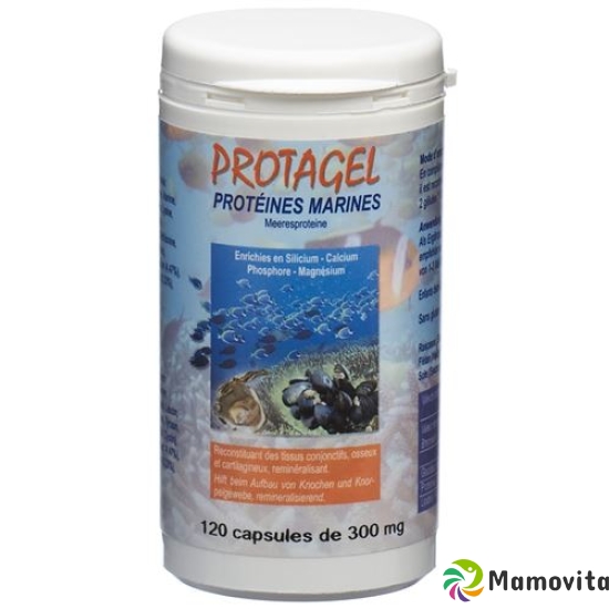 Protagel Complex Acides Amines Dose 240 Stück buy online