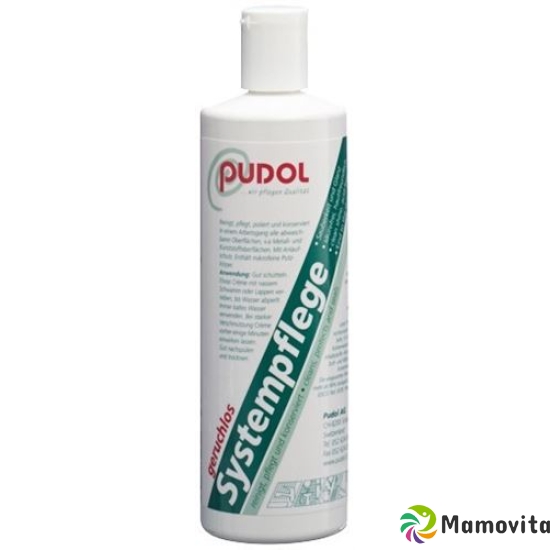 Pudol Systempflege Geruchlos Kanne 3kg buy online