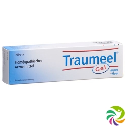 Traumeel S Gel Tube 100g