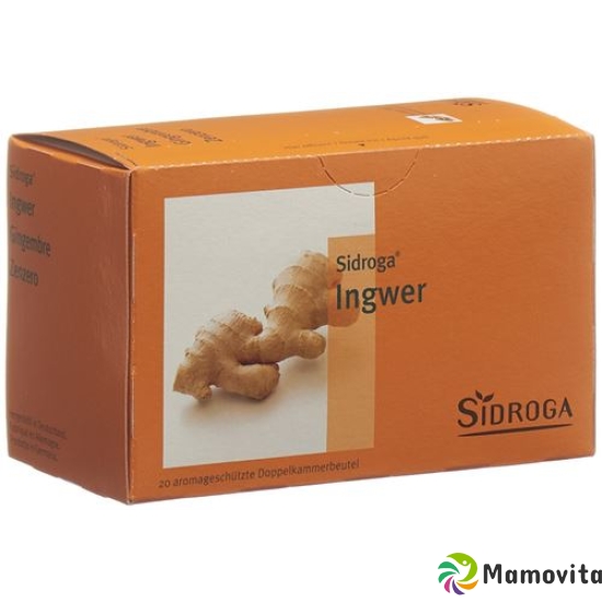 Sidroga Ginger (new) bag 20 pieces buy online