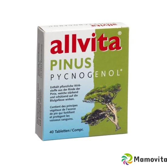 Allvita Pinus Pycnogenol Tabletten 120 Stück buy online