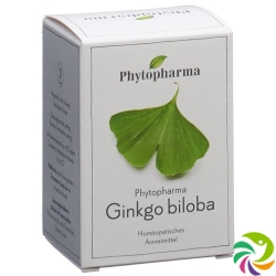 Phytopharma Ginkgo Biloba Kapseln Dose 60 Stück