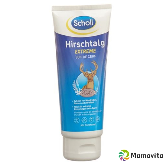 Scholl Hirschtalg Extreme 100ml buy online