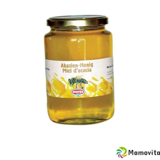 Morga Akazien Honig Aktion Glas 500g buy online