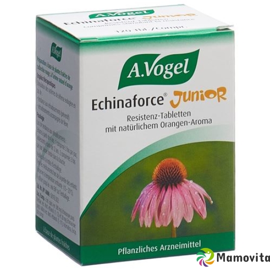 Vogel Echinaforce Resistenz-Erkältung Junior 120 Tabletten buy online