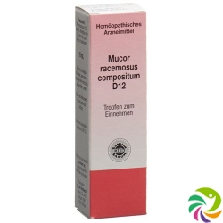 Sanum Mucor racemosus compositum drops D 12 10 ml