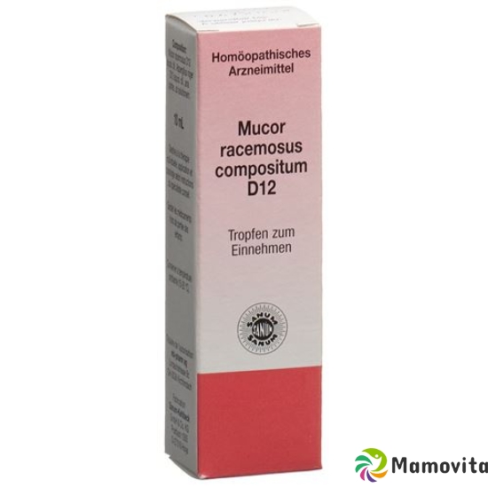 Sanum Mucor racemosus compositum drops D 12 10 ml buy online