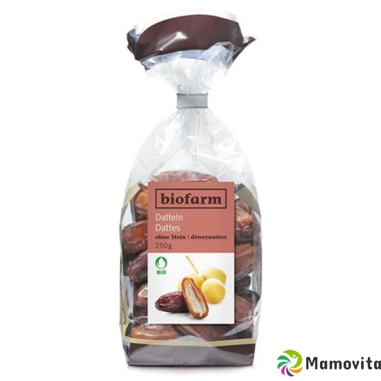 Biofarm Datteln ohne Stein Knospe Beutel 750g buy online