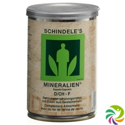 Schindeles Mineralie Kapseln Dose 160 Stück