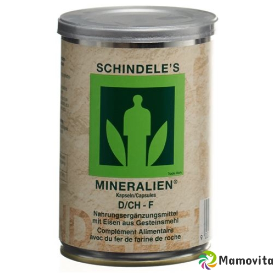 Schindeles Mineralie Kapseln Dose 160 Stück buy online