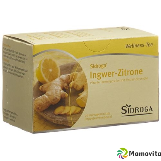 Sidroga Ginger-Lemon Bag 20 pieces buy online