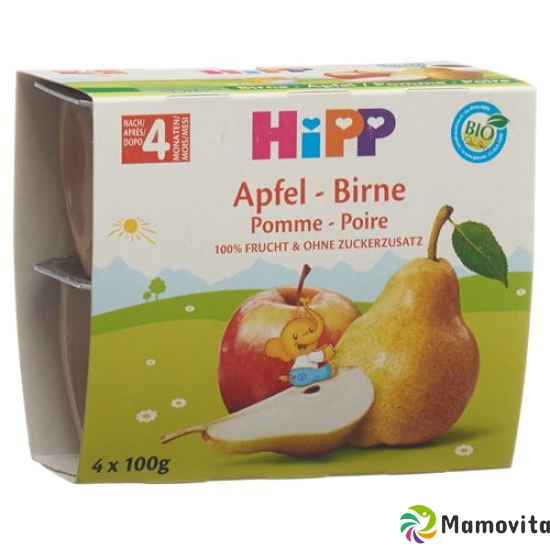 Hipp Frucht Pause Apfel Birne 4x 100g buy online