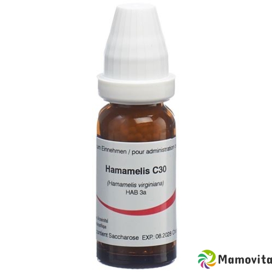 Omida Hamamelis Globuli C 30 2g buy online