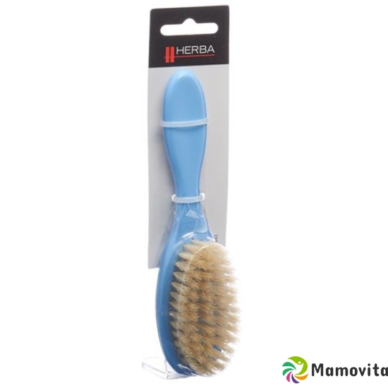 Herba baby brush blue buy online