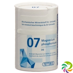 Phytomed Schüssler Nr. 7 Tabletten D 6 Lactosefrei 2000 Stück