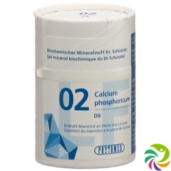 Phytomed Schüssler Nr. 2 Tabletten D 6 Lactosefrei 2000 Stück