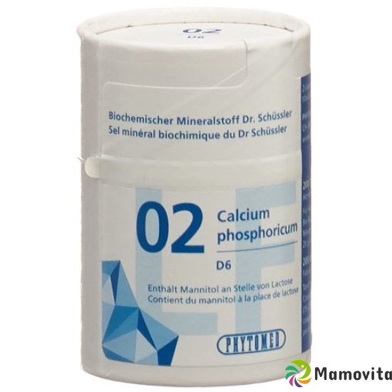 Phytomed Schüssler Nr. 2 Tabletten D 6 Lactosefrei 2000 Stück buy online