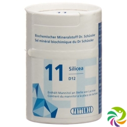 Phytomed Schüssler Nr. 11 Tabletten D 12 Lactosefrei 2000 Stück