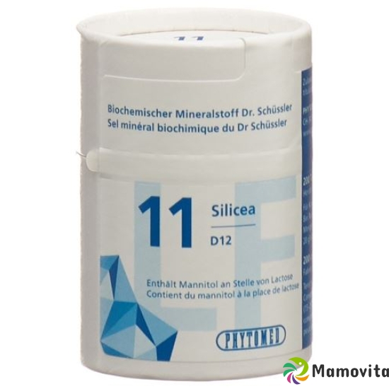 Phytomed Schüssler Nr. 11 Tabletten D 12 Lactosefrei 2000 Stück buy online