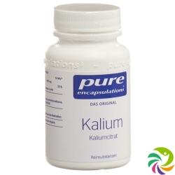 Pure Kalium Kaliumcitrat Dose 90 Stück