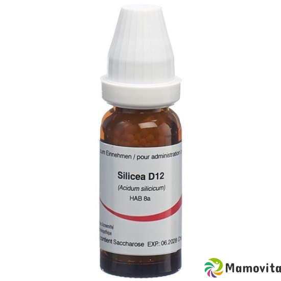 Omida Silicea Globuli D 12 2g buy online