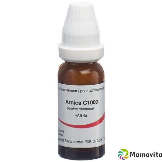 Omida Arnica Globuli C 1000 2g buy online