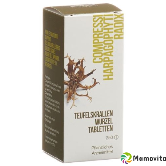 Dixa Teufelskrallenwurzel Tabletten 250 Stück buy online