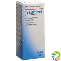 Traumeel Tropfen 100ml