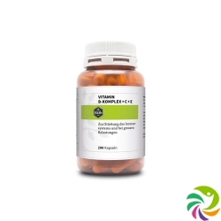 Oak vitamin B complex + C + E Kaps Ds 100 pcs