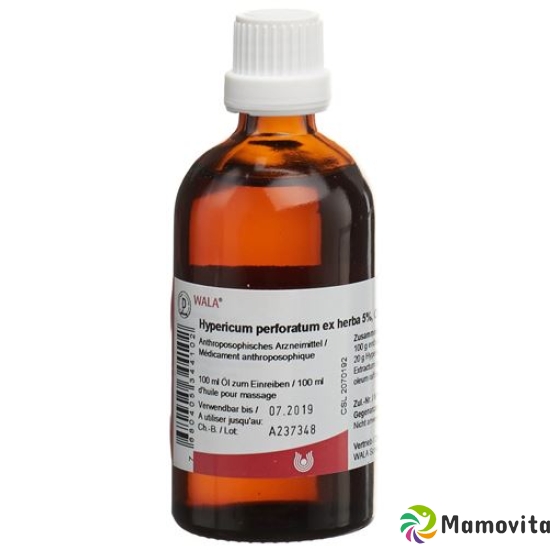 Wala Hypericum perforatum ex herba oil 5% ad us. ext. Fl 50 ml buy online