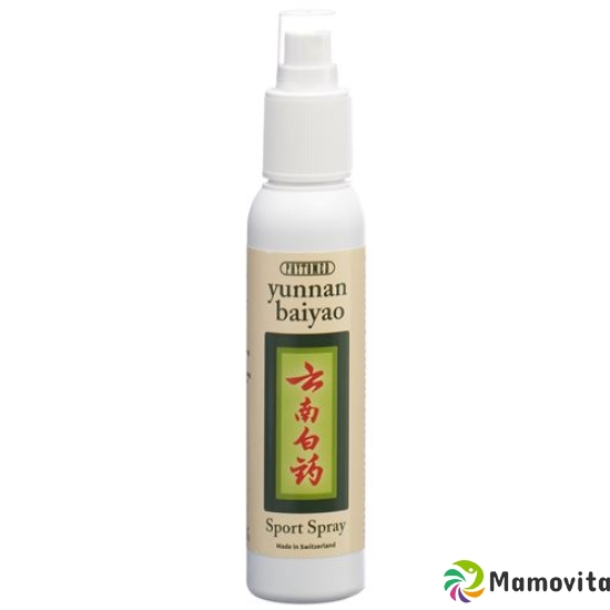 Yunnan Baiyao Sport Spray 500ml buy online