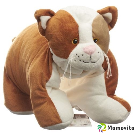 FROG hot water bottle Kuschelkissen 1.8l cat buy online