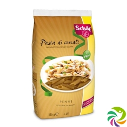 Warping Penne multigrain gluten-free 250 g