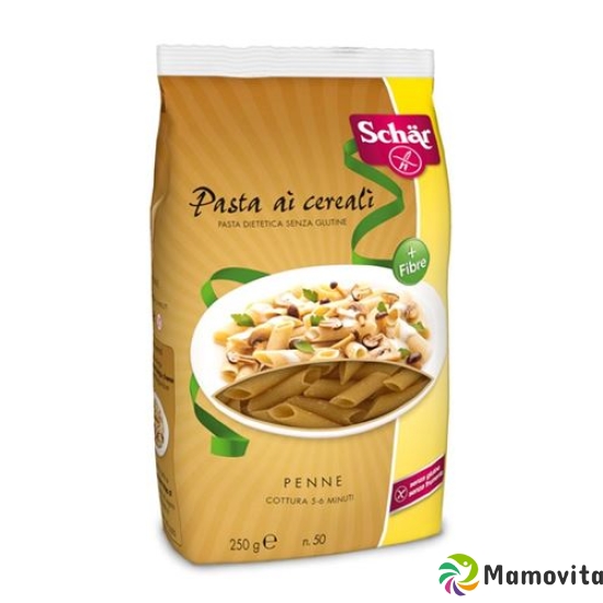 Warping Penne multigrain gluten-free 250 g buy online