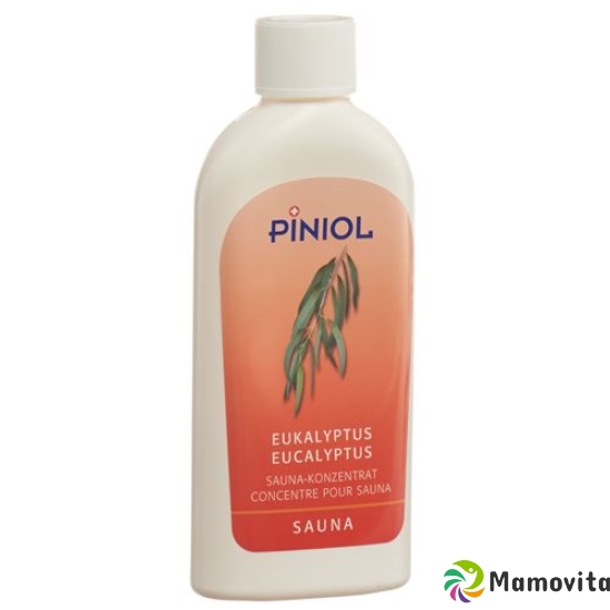 Piniol Eukalyptus Sauna-Konzentrat 1000ml buy online