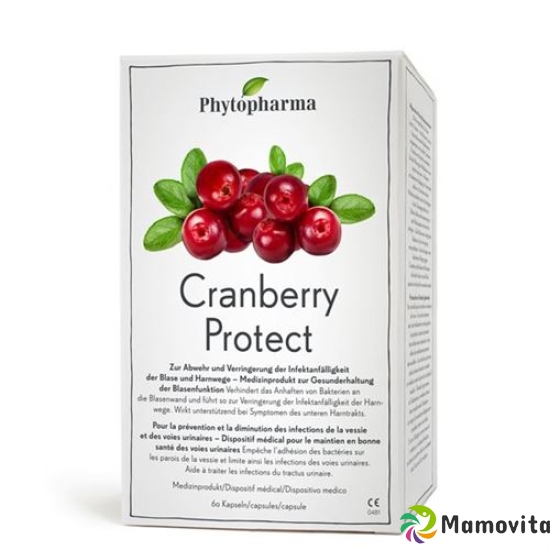 Phytopharma Cranberry Protect 60 capsules buy online