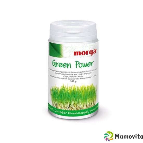 Morga Green Power PLV Ds 100g buy online