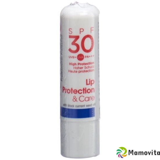 Ultrasun Lip Protection SPF50 4.8g buy online