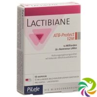 LACTIBIANE ATB PROTECT 1016