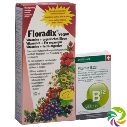 Floradix HA Vitamins + Organic Iron Bottle 500 ml