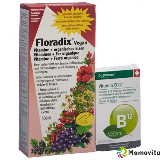 Floradix HA Vitamins + Organic Iron Bottle 500 ml buy online