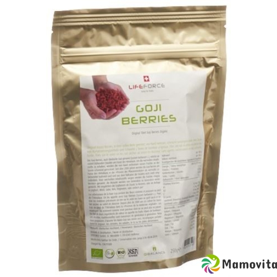 Qibalance Goji Berries dried Bio 10 kg buy online