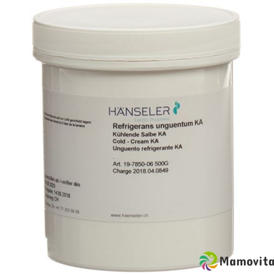 Haenseler Ungt Refrigerans Ka Dose 100g buy online