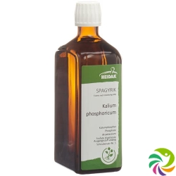 HEIDAK Spagyrik Potassium phosphoricum Fl 250 ml