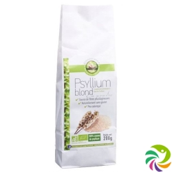 Ecoidées bright Psyllium 600 g