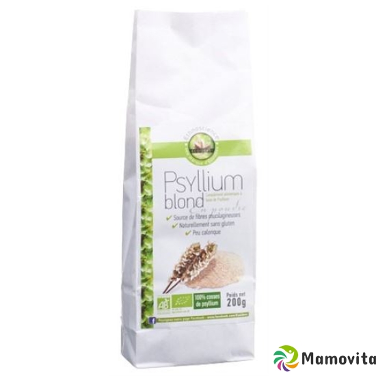 Ecoidées bright Psyllium 600 g buy online