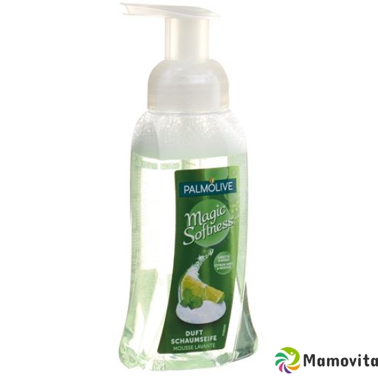 Palmolive liquid soap foam lime and mint Disp 250 ml buy online